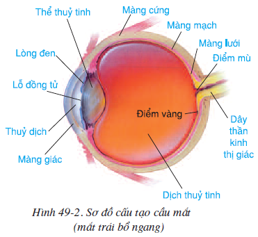 ảnh chủ đề