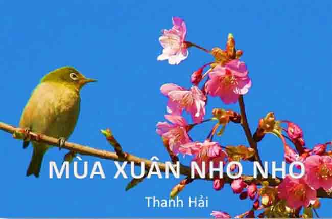 ảnh chủ đề