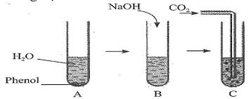 ảnh chủ đề