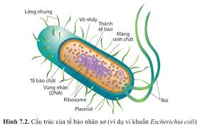 ảnh chủ đề