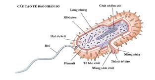 ảnh chủ đề