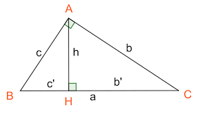 ảnh chủ đề