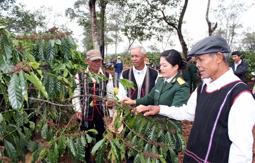 ảnh chủ đề