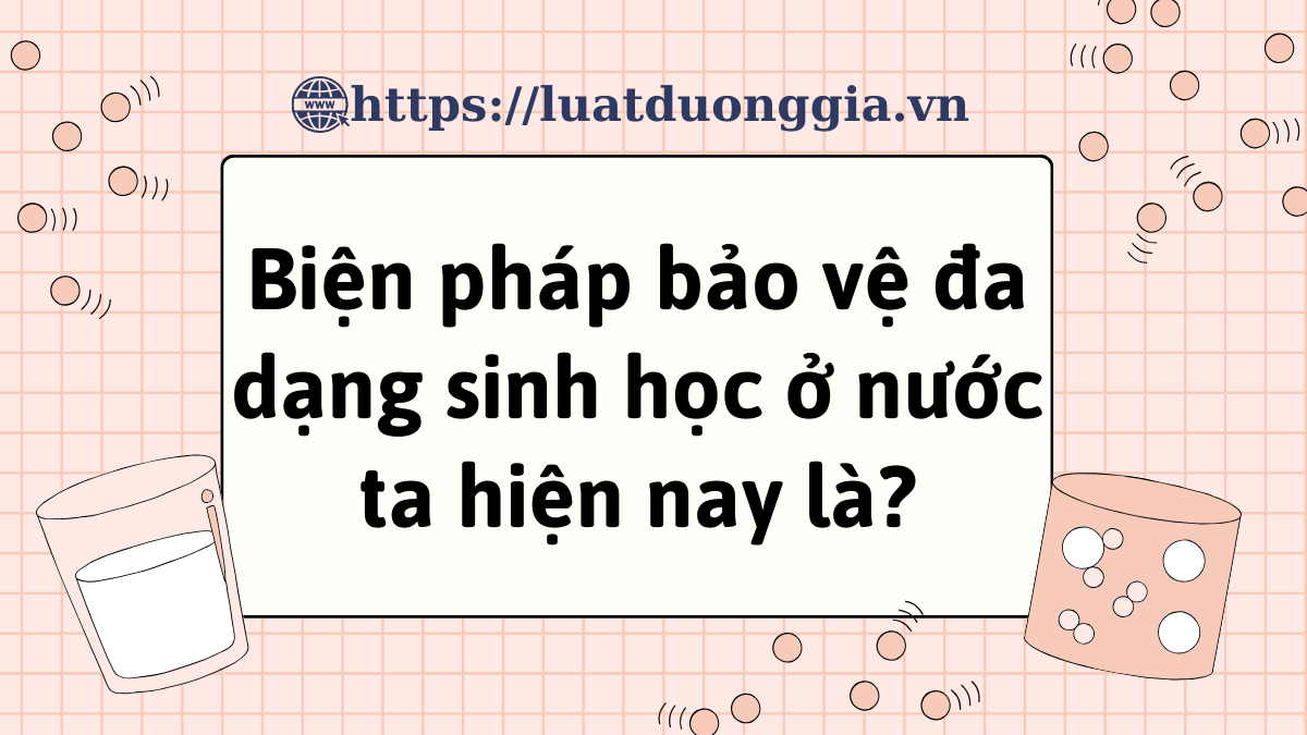 ảnh chủ đề