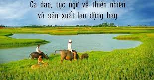 ảnh chủ đề