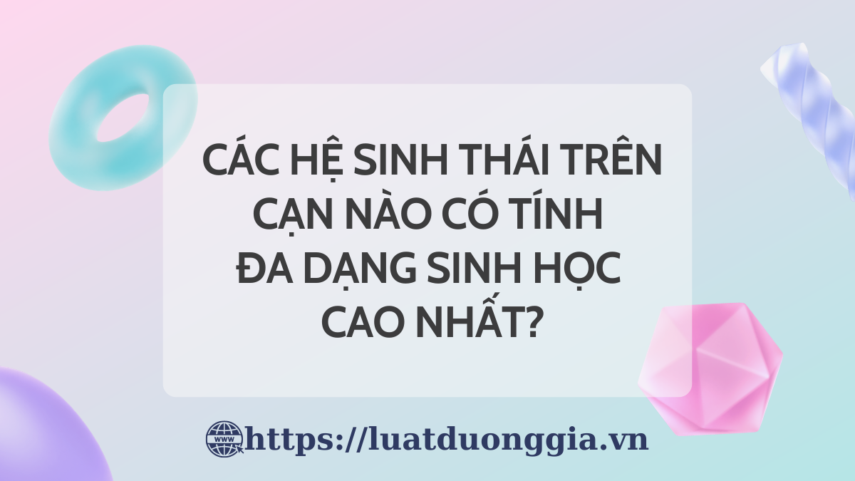 ảnh chủ đề