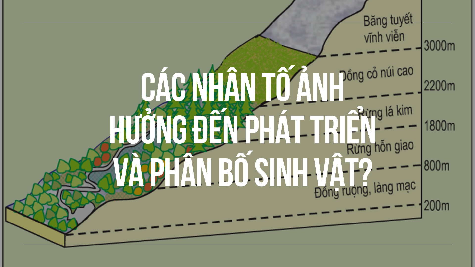 ảnh chủ đề