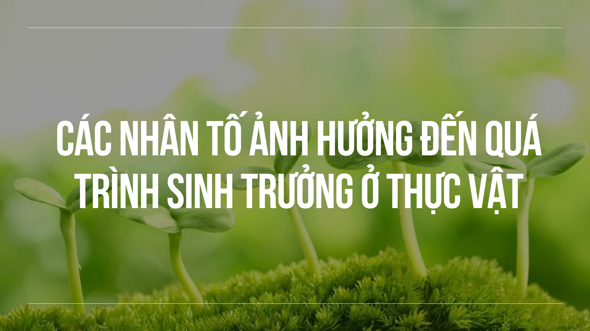 ảnh chủ đề