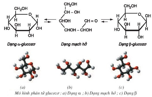 ảnh chủ đề