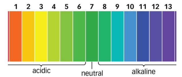 1. Định nghĩa chất chỉ thị acid-base