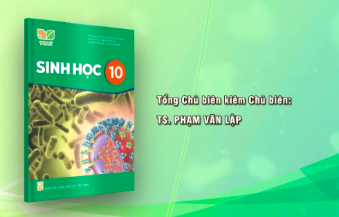 ảnh chủ đề