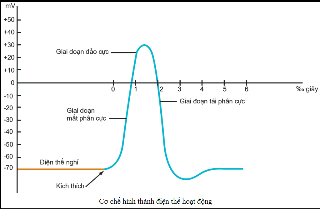 ảnh chủ đề