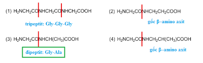 ảnh chủ đề