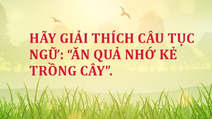 ảnh chủ đề