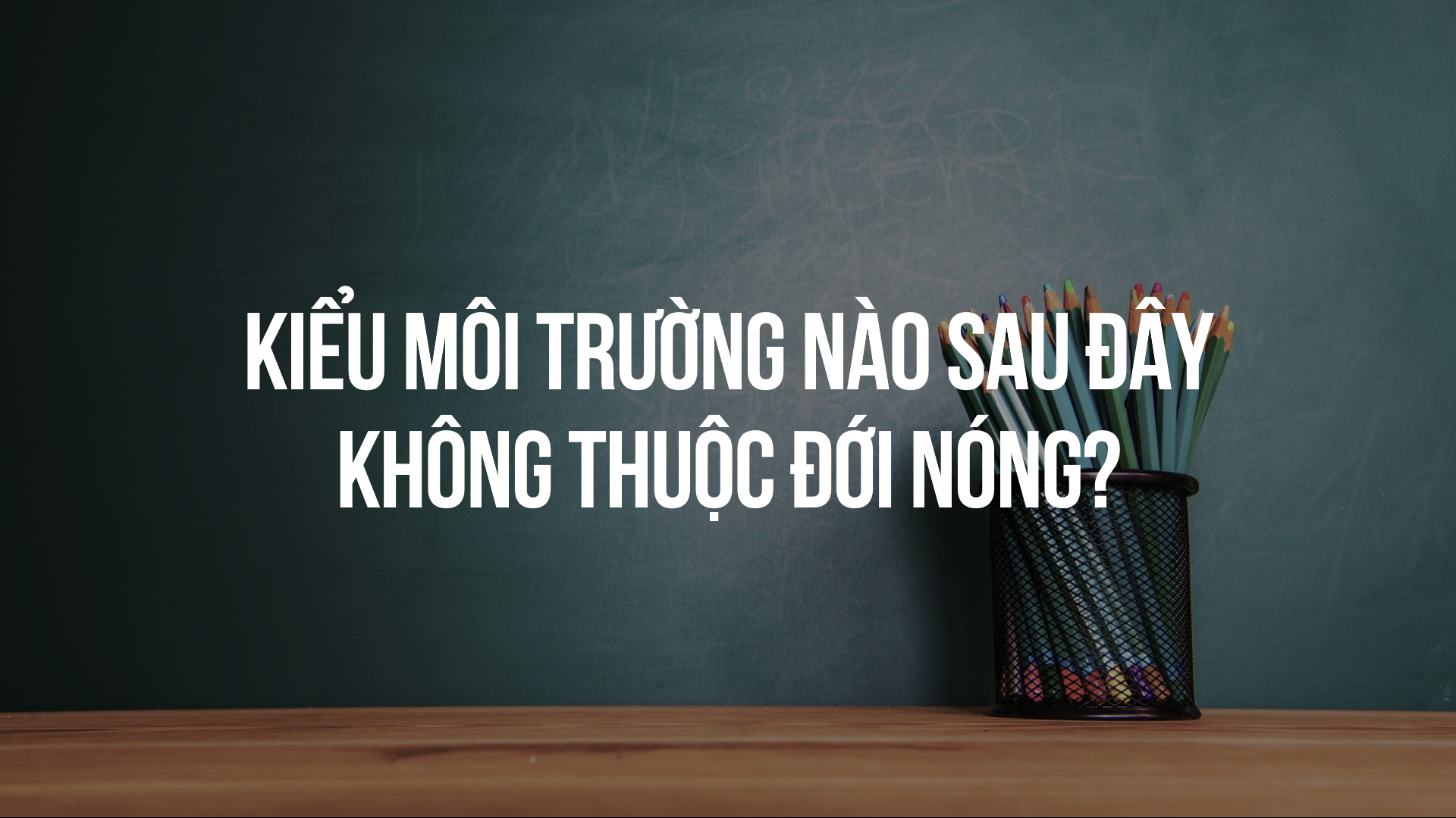 ảnh chủ đề