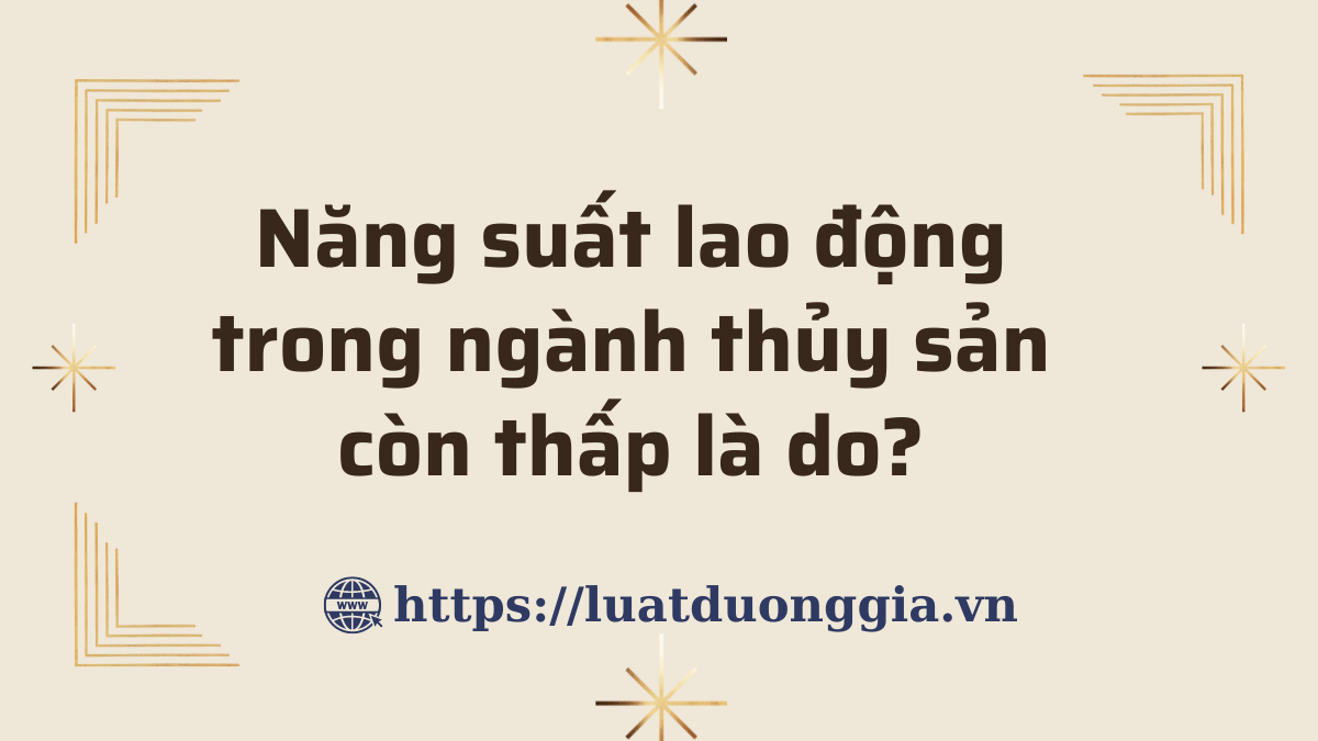 ảnh chủ đề