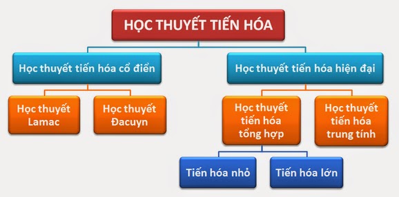 ảnh chủ đề