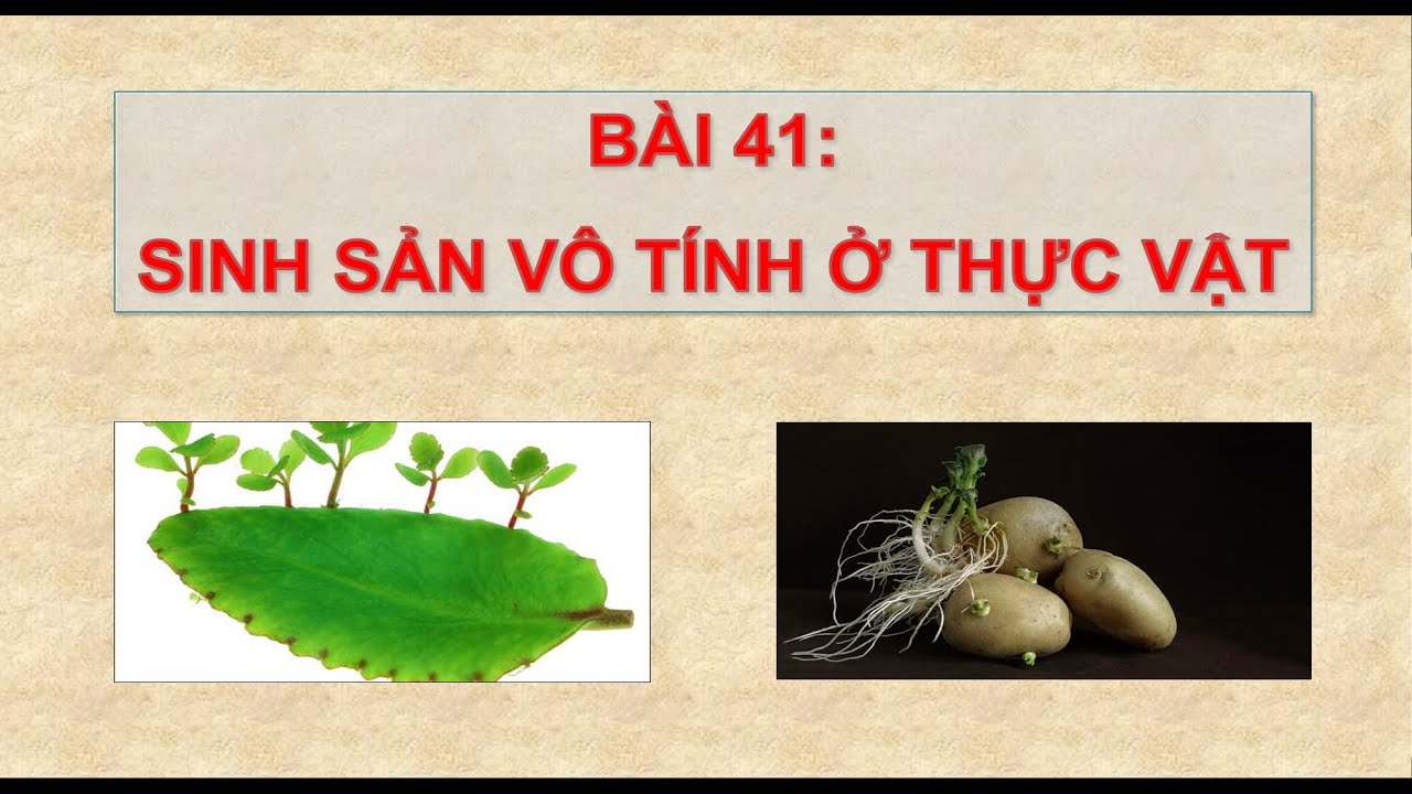 ảnh chủ đề