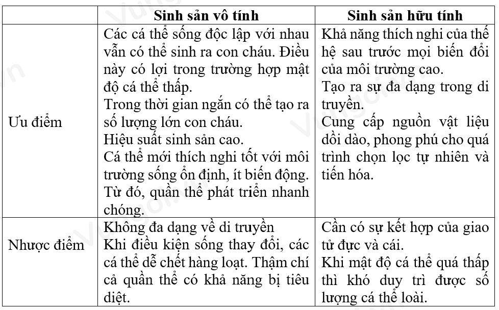 ảnh chủ đề