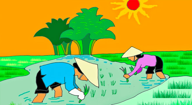 Tả người mẹ cấy lúa giữa trưa tháng 6 nóng bức siêu hay - Luật Dương Gia