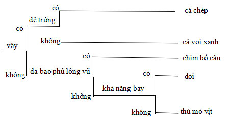 ảnh chủ đề