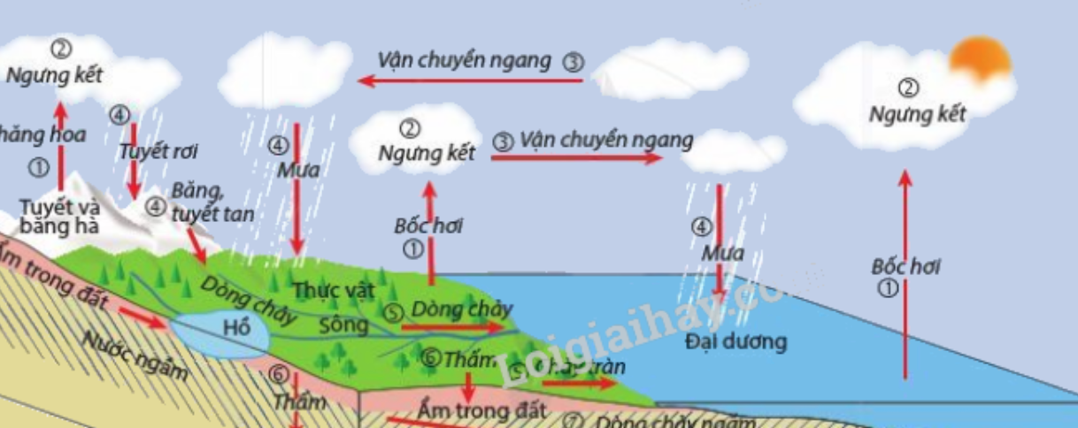 ảnh chủ đề