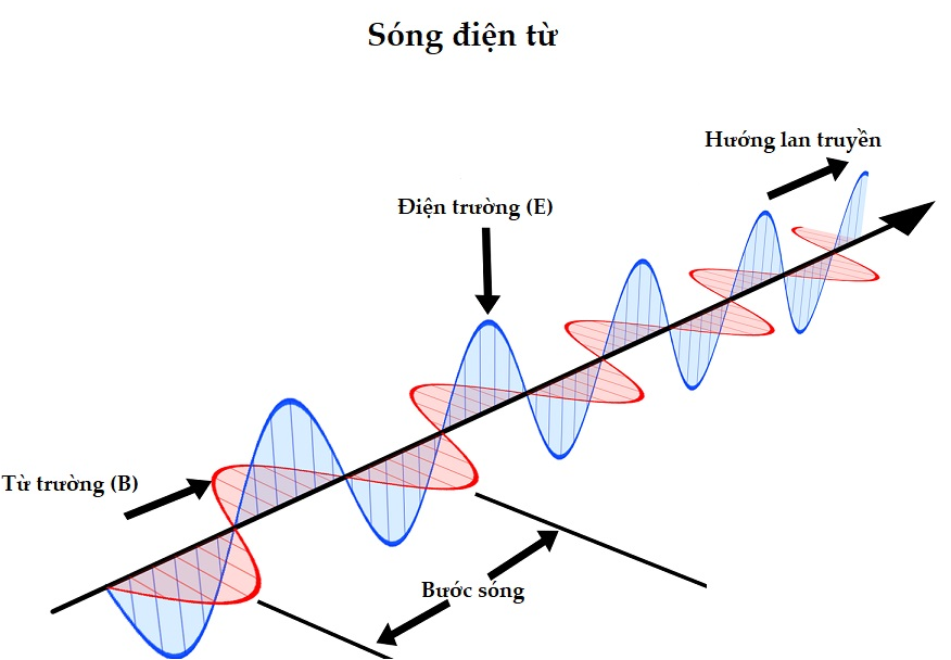 ảnh chủ đề