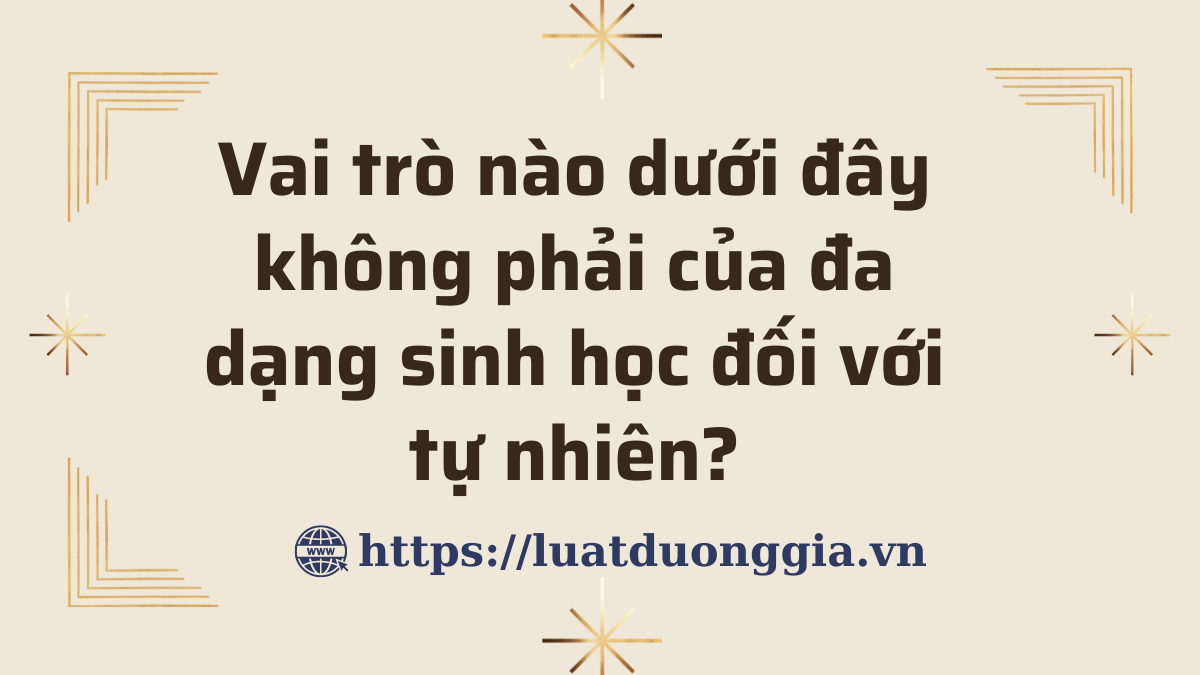 ảnh chủ đề