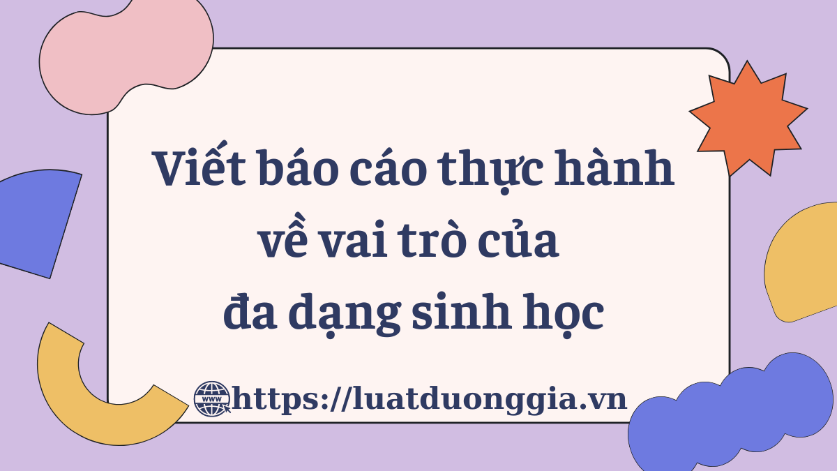 ảnh chủ đề