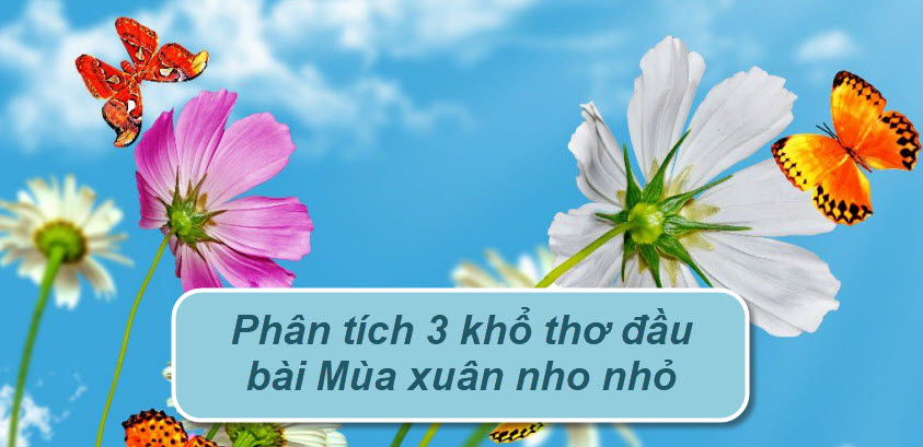 ảnh chủ đề