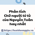 Phân tích Chữ người tử tù của Nguyễn Tuân hay nhất