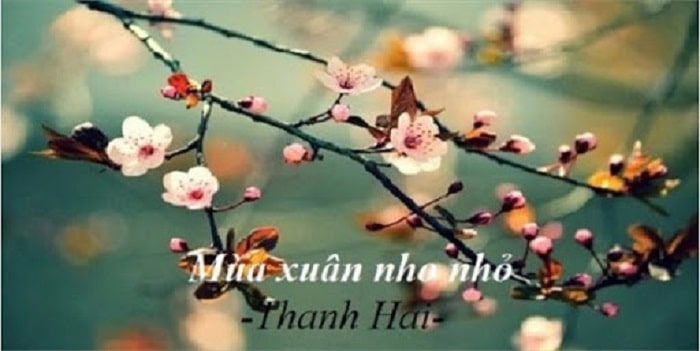 ảnh chủ đề