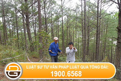 quyet-dinh-1995-QD-BNN-TCCB-ngay-29-thang-08-nam-2011