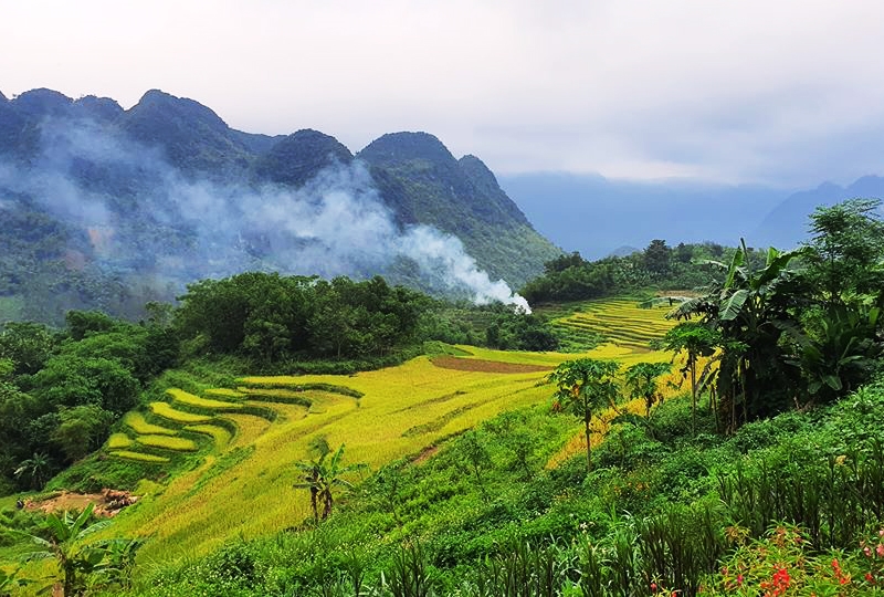 ảnh chủ đề