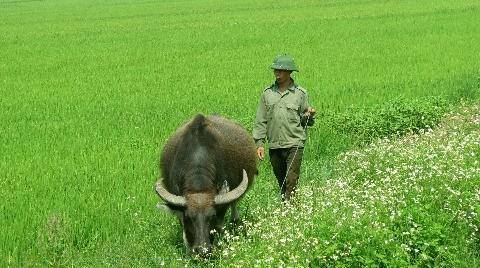 ảnh chủ đề