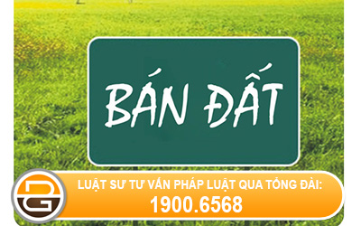 Cap-giay-chung-nhan-quyen-su-dung-dat-mua-ban-thoi-diem-nam-2000