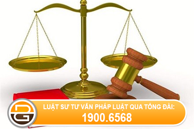 Dac-diem-phap-ly-ve-co-cau-to-chuc-cong-ty-trach-nhiem-huu-han-hai-thanh-vien-tro-len