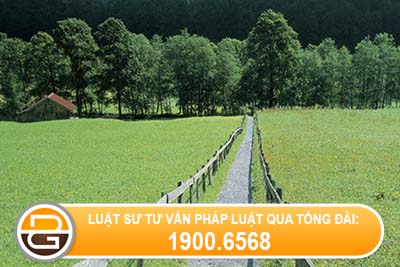 Mai-tang-phi-va-tro-cap-mot-lan-khi-benh-binh-2-3-chet