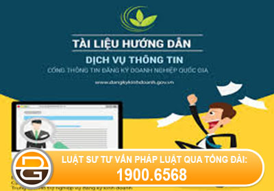 Mot-so-van-de-lien-quan-den-cong-thong-tin-dang-ky-doanh-nghiep-quoc-gia