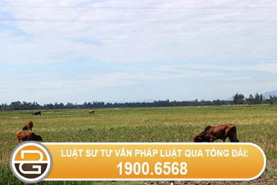 cap-giay-chung-nhan-quyen-su-dung-dat-khi-co-giay-to-viet-tay 