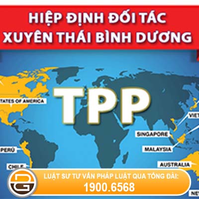 hiep-dinh-TTP