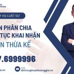 Luật sư tư vấn phân chia thừa kế, khai nhận di sản thừa kế