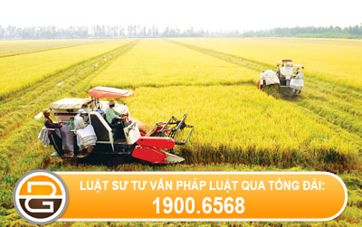 quy-dinh-ve-boi-thuong-ve-dat-chi-phi-dau-tu-vao-dat-con-lai.