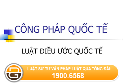 quyen-nang-cua-to-chuc-quoc-te-lien-chinh-phu-la-quyen-nang-phai-sinh-va-han-che