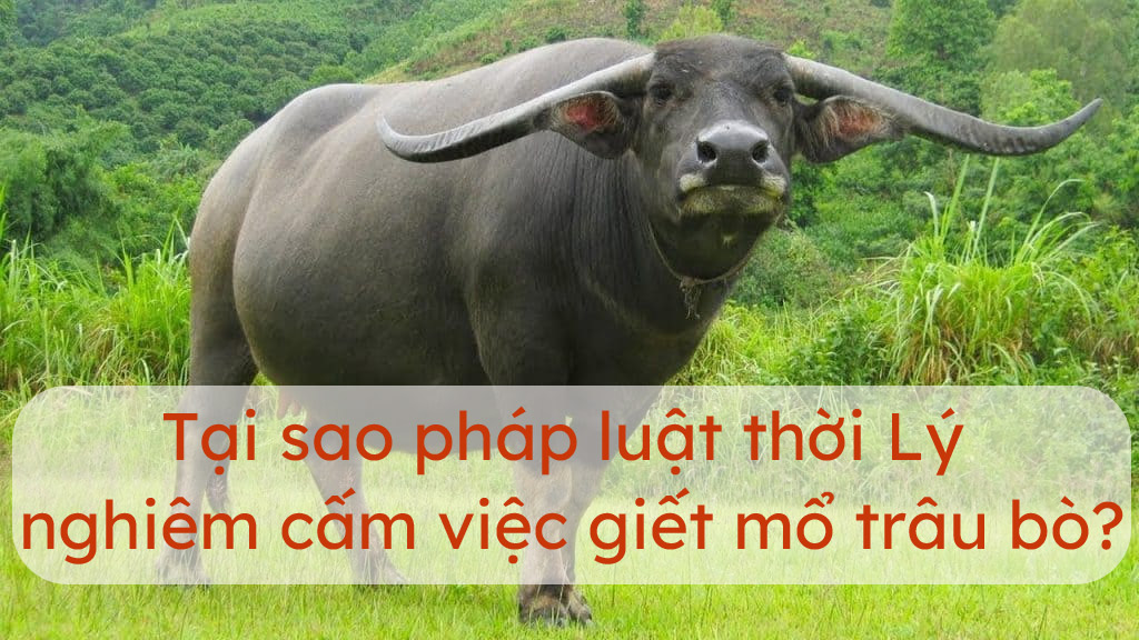 ảnh chủ đề