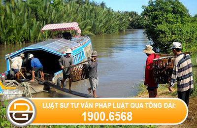 thu-tuc-sang-ten-phuong-tien-giao-thong-duong-thuy-noi-dia