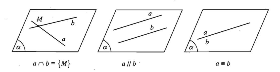 ảnh chủ đề