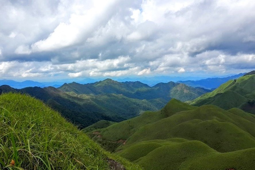 ảnh chủ đề