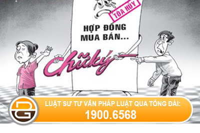 Chi-mua-ban-viet-tay-co-duoc-cap-giay-chung-nhan-quyen-su-dung-dat