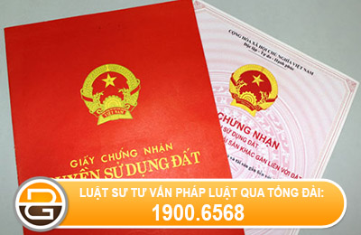 Chua-co-giay-chung-nhan-quyen-su-dung-dat-co-duoc-chuyen-nhuong-hay-khong